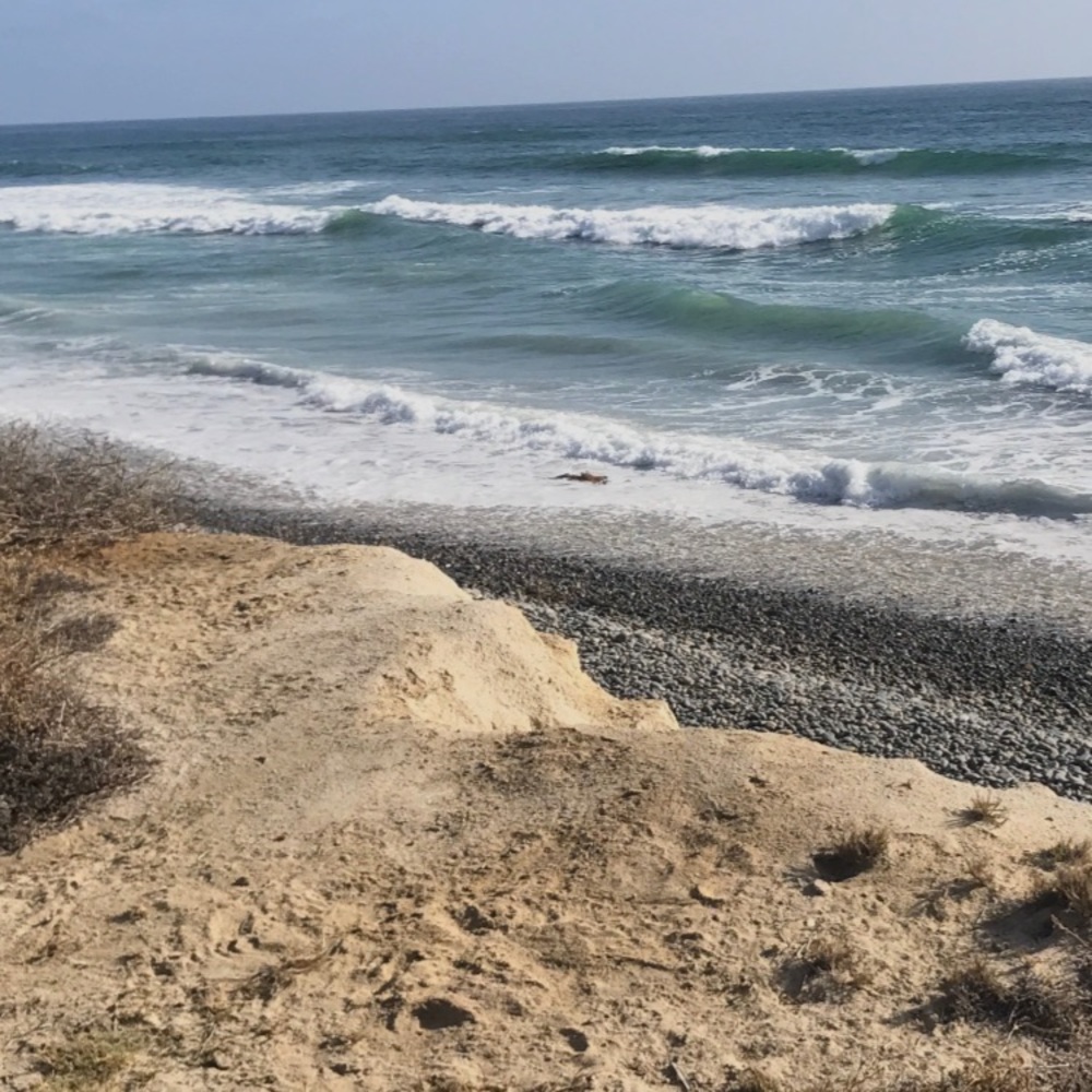 Meet your Posher, Shirley